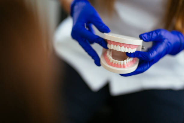 Best Preventive Dentistry  in Joliet, IL
